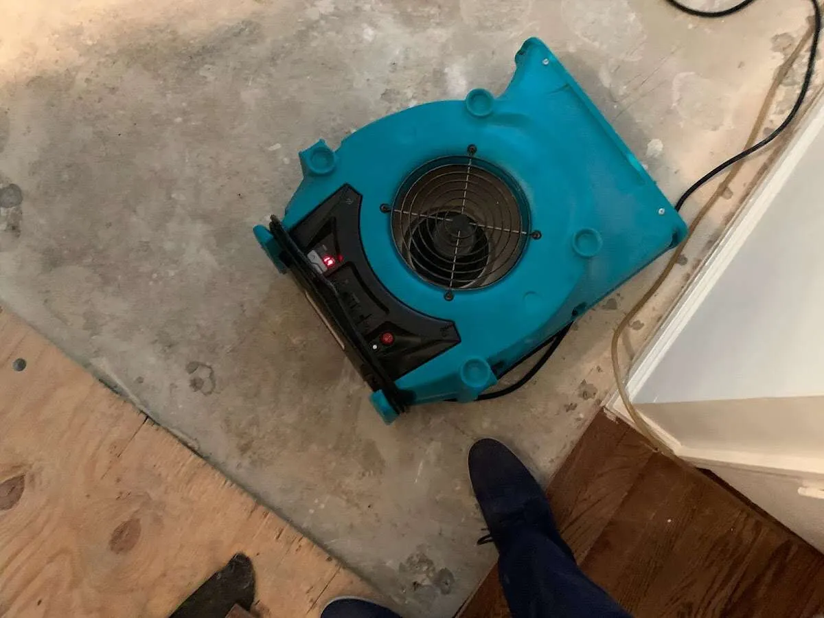 Air mover drying subfloor during Commercial Water Damage Restoration in Elsmere